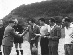 Nardo Ferrari Borciani